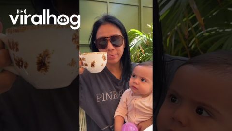 Babies Literally Copy Everything You Do || ViralHog