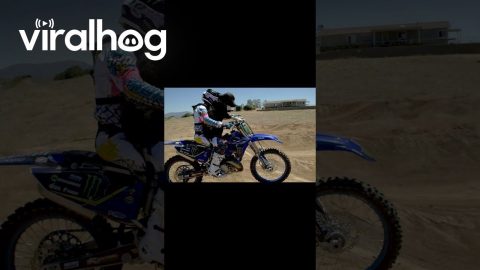Dirt Biking with the Dog || ViralHog Shorts