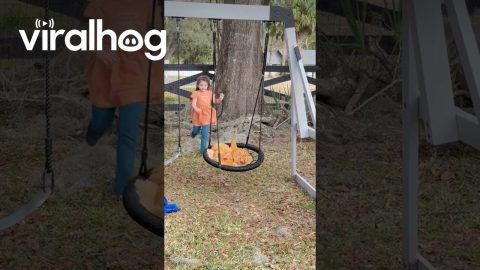 Little Girl Pushes Chickens on a Swing || ViralHog