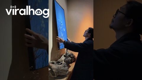 Artist Paints Moonlit Blossoms Using Branch and Fingers || ViralHog