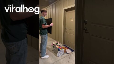 My Son Planned the Perfect "Be My Valentine" Gesture || ViralHog
