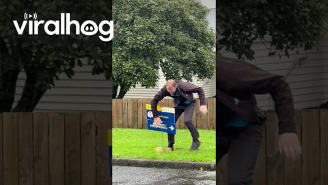 Unlucky Realtor Has Trouble Collecting Sign || ViralHog