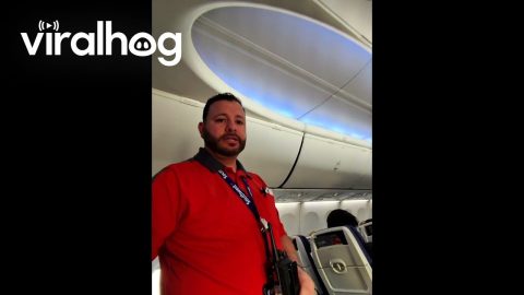 Airline Passenger In Wrong Seat Asked To Move || ViralHog