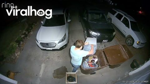 Garbage Won't Come Out Of Can || ViralHog