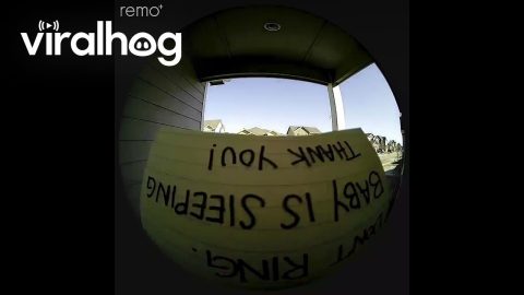 Doorbell Camera Catches Neighbor Tripping on Stairs || ViralHog