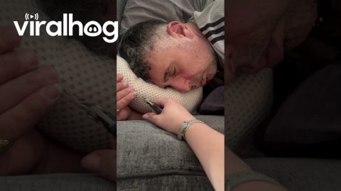 Cutting Dad's Long Pinky Nail || ViralHog