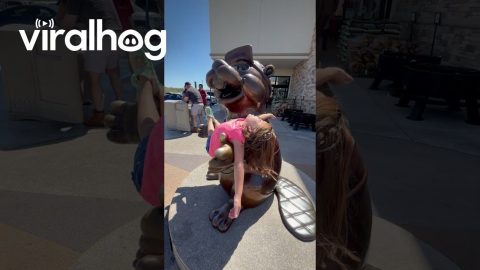 Beaver Mascot Statue Cradles Young Fan || ViralHog