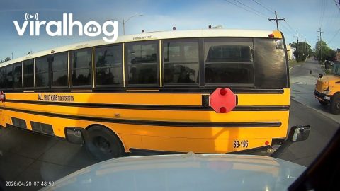 School Bus Driver Cuts Four Lanes and in Front of Semi || ViralHog