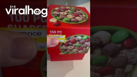 Puzzle Snack Fail || ViralHog