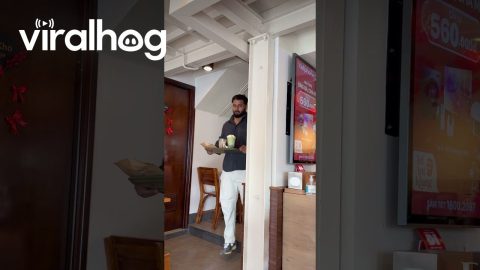 Man Trips and Spills Fancy Coffee Drinks || ViralHog