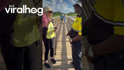 Grandma Is Insulted Alligator Didn't Want to Eat Her || ViralHog