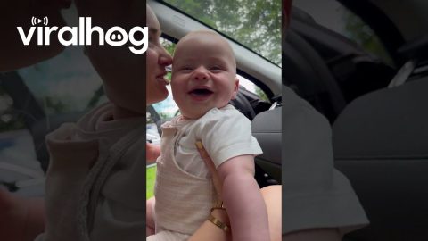 Every Word Make Baby Laugh || ViralHog