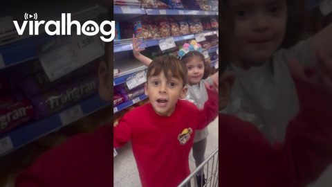 Kids Think They See Jesus' Mother || ViralHog