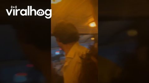 Powerful Storm Rocks Restaurant in Paris || ViralHog