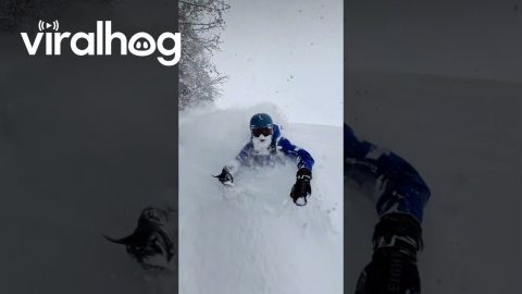 Skiing Through Insanely Deep Powder in Japan || ViralHog