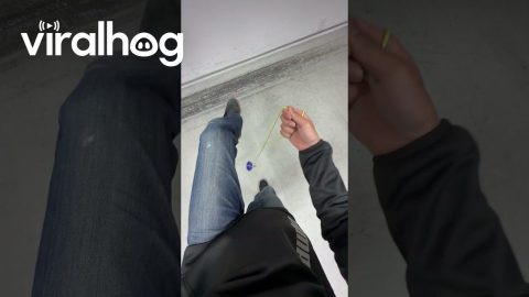 Spin Top Tricks || ViralHog