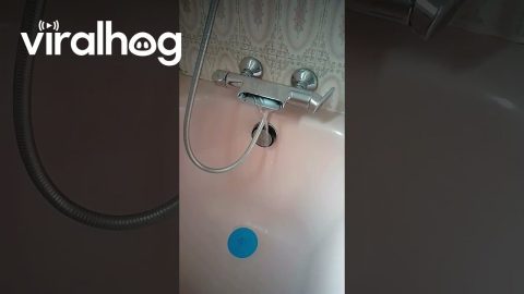 Unexpected Washroom Plumbing || ViralHog
