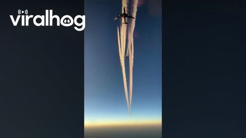Aircraft Pass Each Other With Reduced Vertical Separation || ViralHog