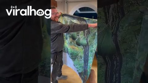 Husband Disappointed At Comically Flat Archway || ViralHog