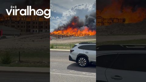 New Construction Burns Down in Massive Blaze || ViralHog