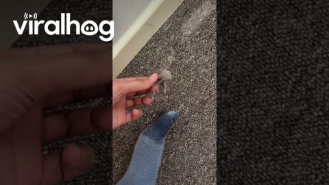 Sock Mop Baseboard Cleaning Trick || ViralHog