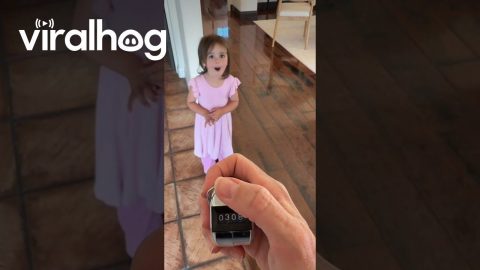 Mom Tracks How Many Times Kids Call For Her || ViralHog