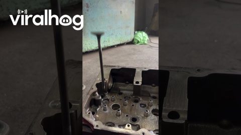 Satisfying Auto Shop Shenanigans || ViralHog