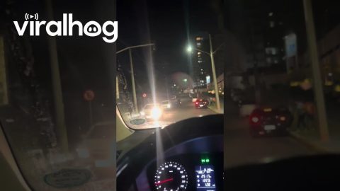 Driver Spots Motorcycle Narrowly Avoiding Disaster || ViralHog