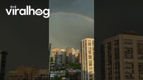 Double Rainbow Over Chicago Skyline || ViralHog