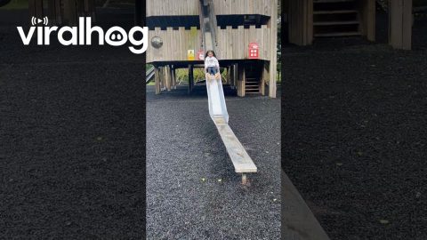 Didn't Know The Slide Was Wet || ViralHog