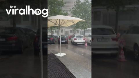 Stormy Winds Push Umbrella Into Car || ViralHog