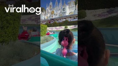 Unexpected Phone Drop at the Happiest Place on Earth || ViralHog