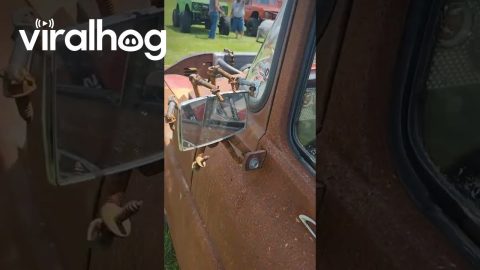 Amazing Customized 1959 Ford F100 Hot Rod Truck || ViralHog