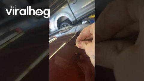 Mechanic Finds Bullet on Car Body || ViralHog