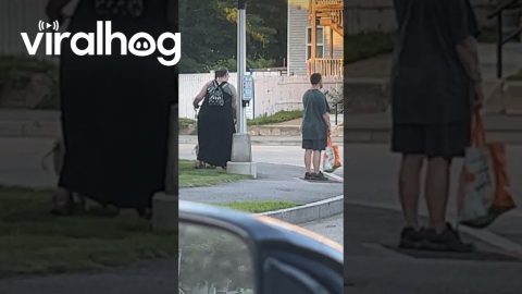 Woman Spotted Walking Her Pet Pig || ViralHog