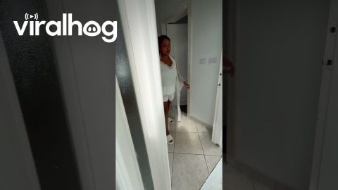 POV: Your Best Friend Flew Across the World to Surprise You on Your Wedding Day || ViralHog