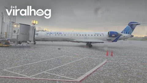 Hailstorm at Springfield Airport || ViralHog