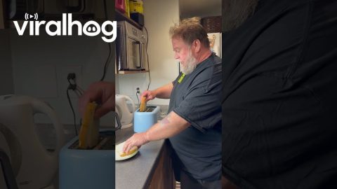 Toaster Repair Gone Wrong || ViralHog