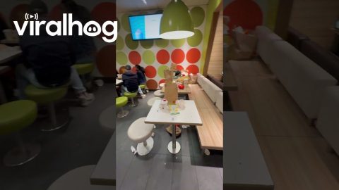 Fast Food Restaurant in Stockholm, Sweden Completely Trashed || ViralHog