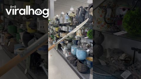 Sturdy Shovel Found at Home Goods Store || ViralHog