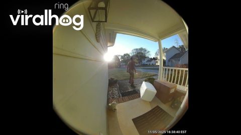Packages Carelessly Thrown on Front Porch || ViralHog