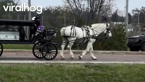 Unbelievable Funeral Procession in Illinois || ViralHog