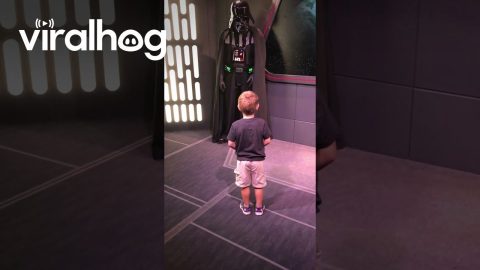 Youngling Turns to the Dark Side || ViralHog