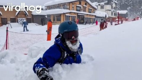 Skiing Through Insanely Deep Powder in Japan || ViralHog