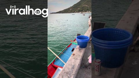 Fisherman Casually Fills Ice By Tossing Buckets || ViralHog