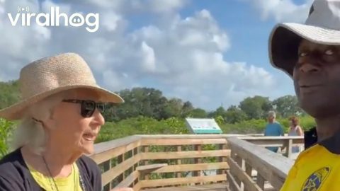 Grandma Is Insulted Alligator Didn't Want to Eat Her || ViralHog