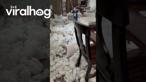 Kids Unzip Cushions and Make Mess of Stuffing || ViralHog