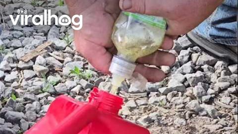 DIY Gas Siphon From Water Bottle || ViralHog