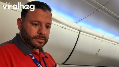 Airline Passenger In Wrong Seat Asked To Move || ViralHog