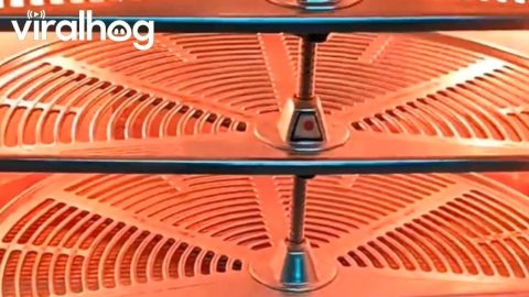They Don’t Build Them Like This Anymore: 1950s Fridge Features || ViralHog